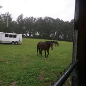 Meet your Posher, Teresa